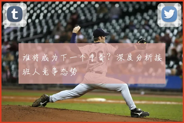 谁将成为下一个李哥？深度分析接班人竞争态势